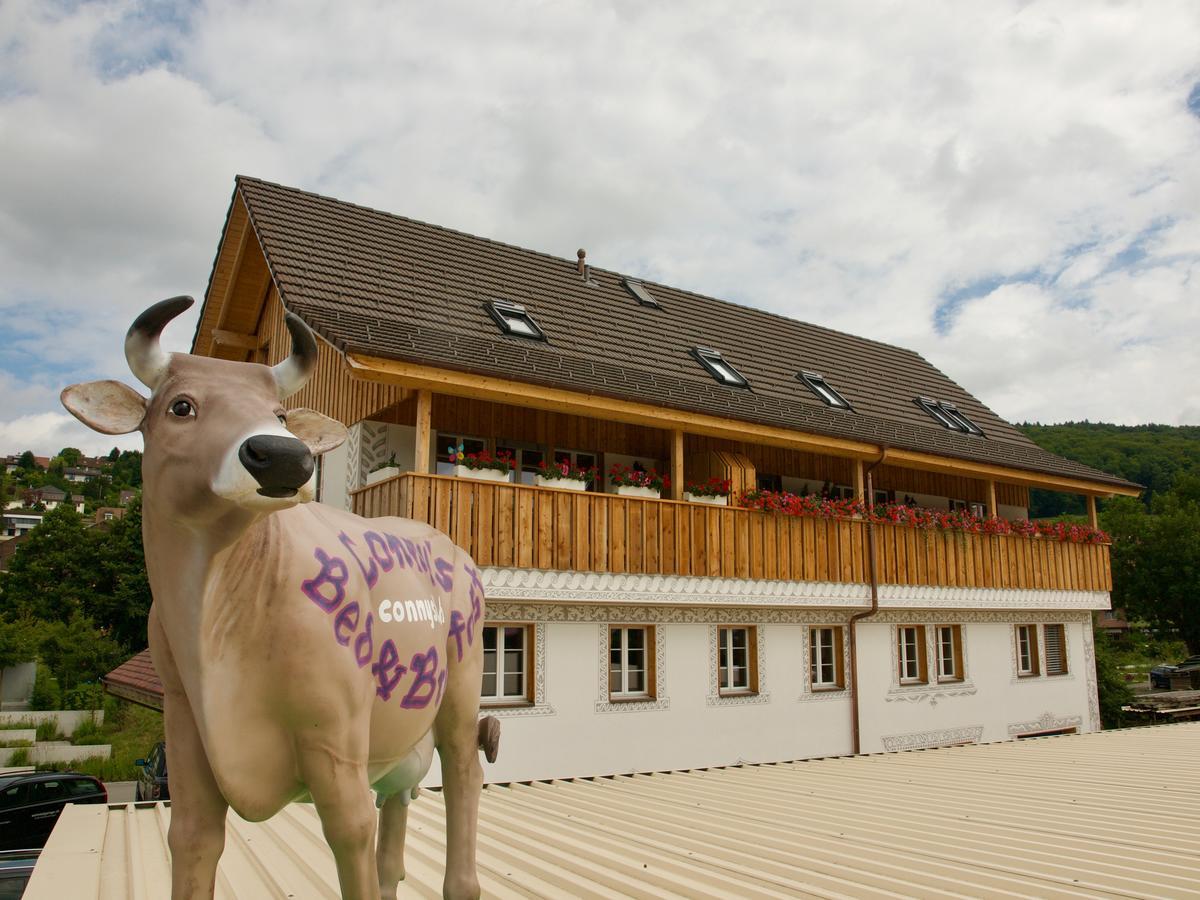 Conny'S B&B Niederweningen Экстерьер фото